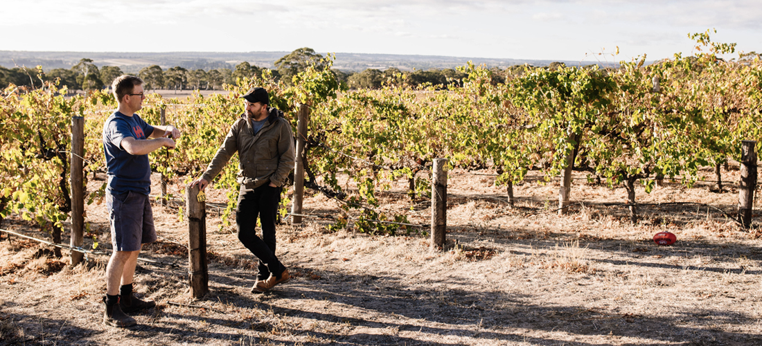 Two men talking at the Hither & Yon vineyard 